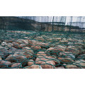 Galvanized River Bank protege Gabion Basket / Gabion Box